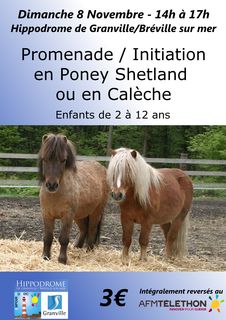 Balade initiation poneys shetland caleche hippodrome Granville