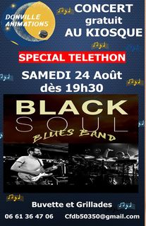 concert donville les bains black soul blues band