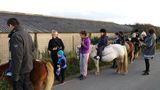 photo poneys-shetland-breville-03.jpg