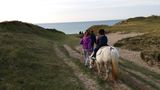 photo poneys-shetland-breville-05.jpg