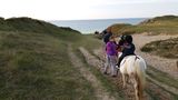 photo poneys-shetland-breville-06.jpg