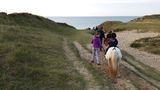 photo poneys-shetland-breville-07.jpg